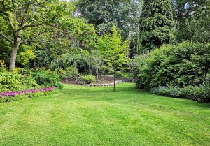 Optimiser l'expérience du jardin à Arrancy-sur-Crusne